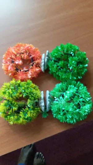 Aquarium Plants