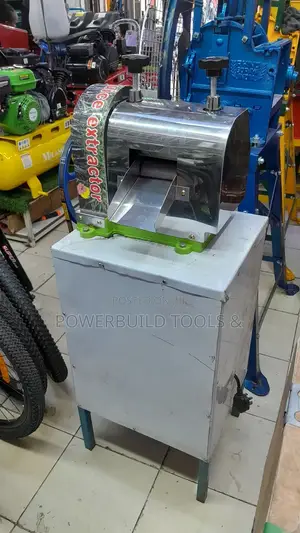 Most Affordable Sugarcane Juicer