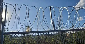 Razor Wire Galvanised Suppliers