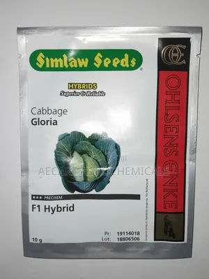Gloria F1 Cabbage Hybrid Seeds 10 Grams