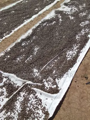 Beef Pellets (50 Kgs)