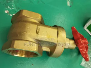 Gate Valve 2 Inch