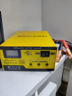 Smart Battery Charger 12/24 Volt.