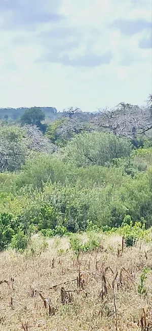 For Sale 180 Acres Kilifi.