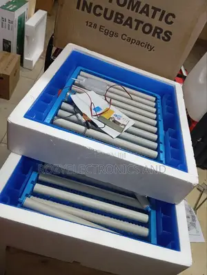 Automatic AC DC 128 Eggs Incubator Machines