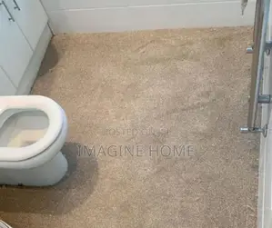 Beige Nice Wall to Wall Carpet