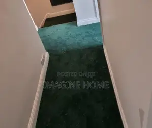 Green Wall to to Wall Carpet