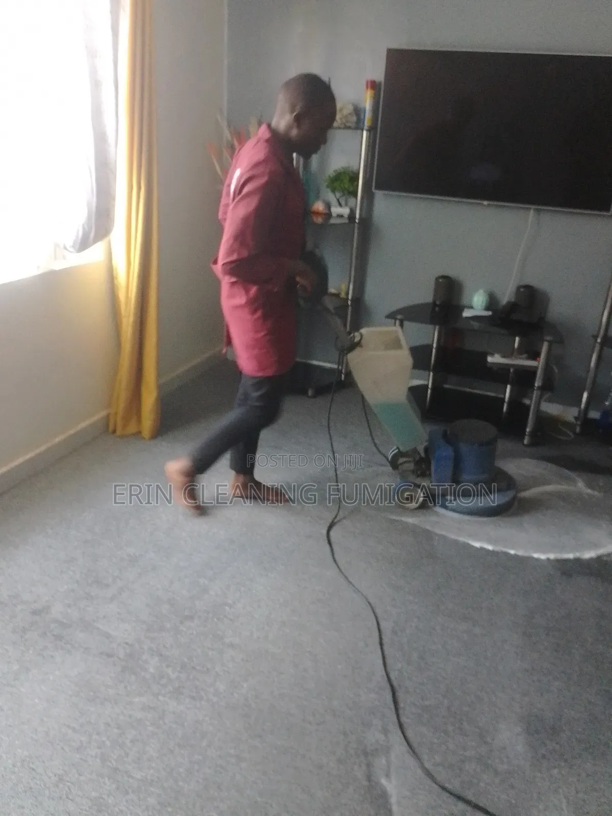 Wall to Wall Carpet Cleaning Fumigation Services