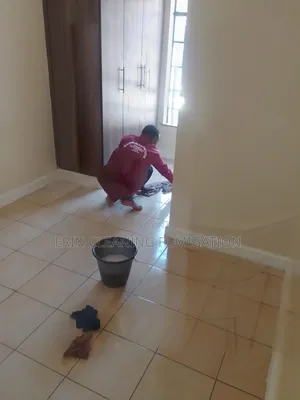 Deep House Cleaning Services/Fumigation Services