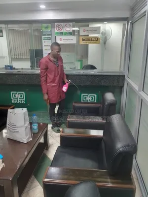 Sofa Polishing After Cleaning