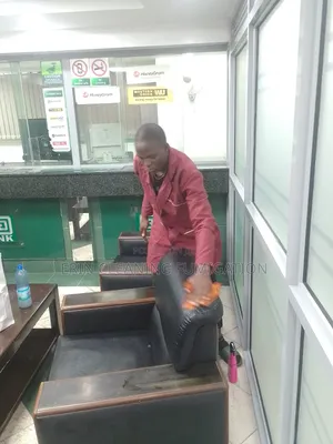 Sofa Polishing After Cleaning