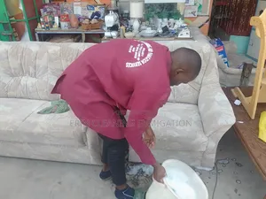 Fabric Essential Sofa Cleaning