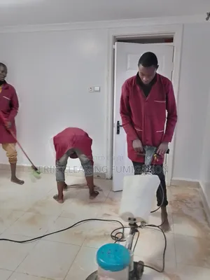 Post Construction Cleaning Bedbugs Cockroaches Pestcontrol