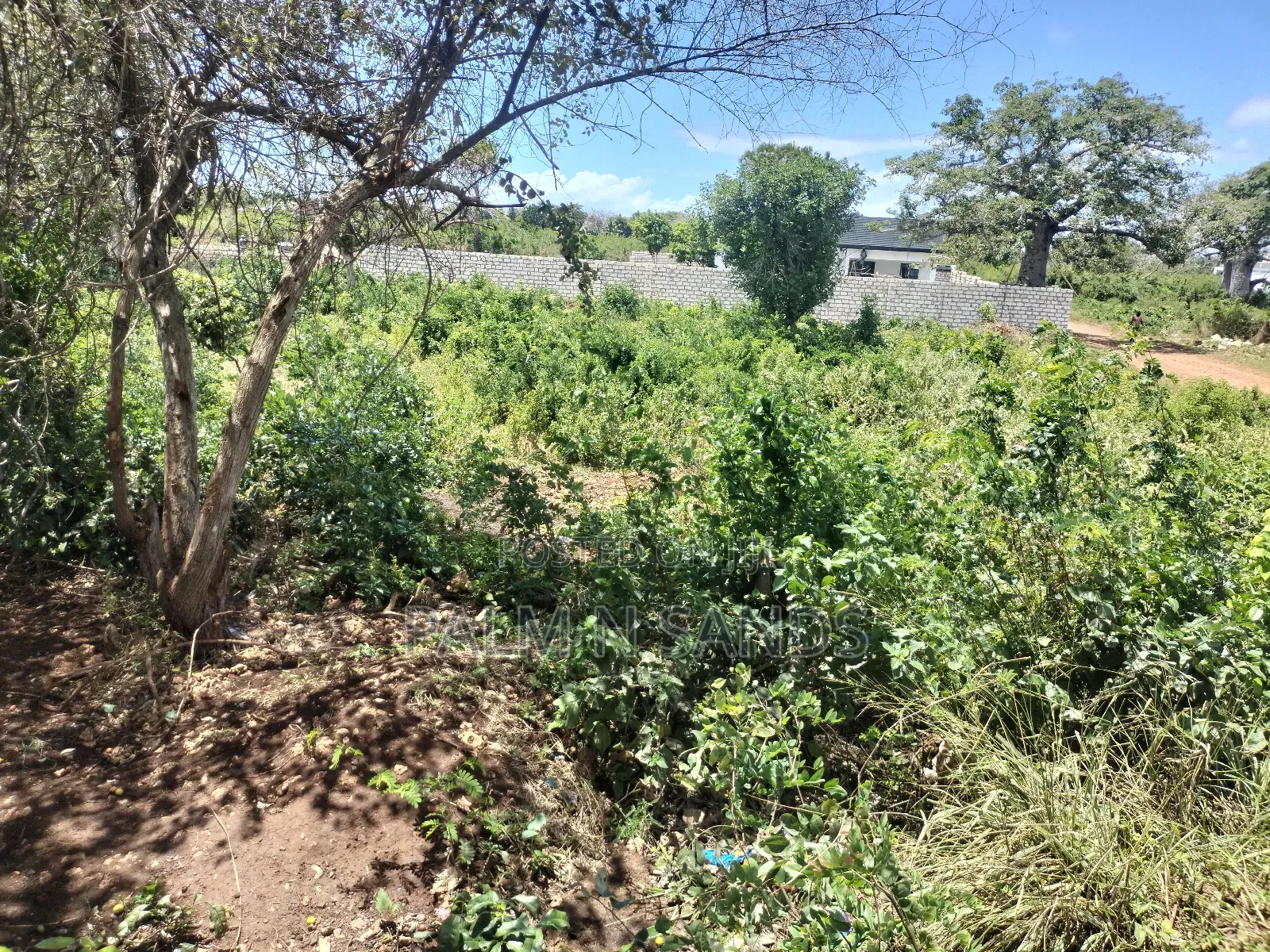 Galukinondo Prime Quarter Acre Plot