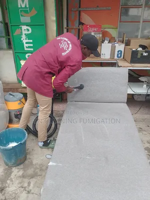 Regular Sofa Cleaning Services