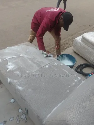 Regular Sofa Cleaning Services