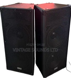 SOUNDKING F1040 2-Way Full Range Speaker