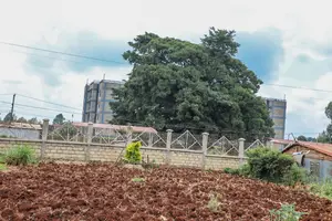 Prime 1/2 - Acre Commercial Plot for Sale in Kikuyu, Gitaru