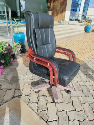 Adjustable Leather Chair