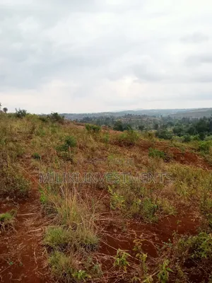 40 by 80 Plots on Sale at Kenol-Milimani Estate 