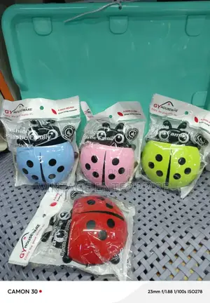 Ladybird Toothbrush Holder