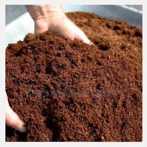 Coco Peat for Quality Seedlings