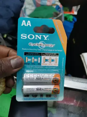 SONY AA (2-in-1 AA) Double a Battery/ Rechargeable Battery,