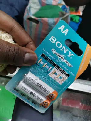 SONY AA (2-in-1 AA) Double a Battery/ Rechargeable Battery,