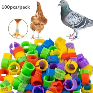 100 Pack Multicoloured Chicken Leg Bands