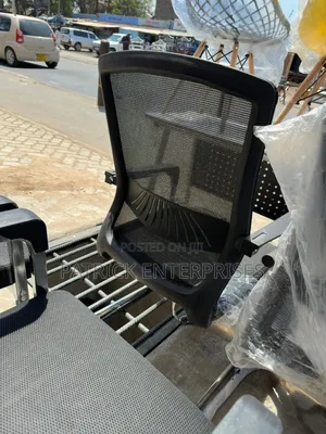 Ergonomic Office/Study Chair