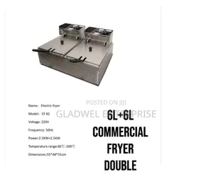 Commercial Deep Fryer