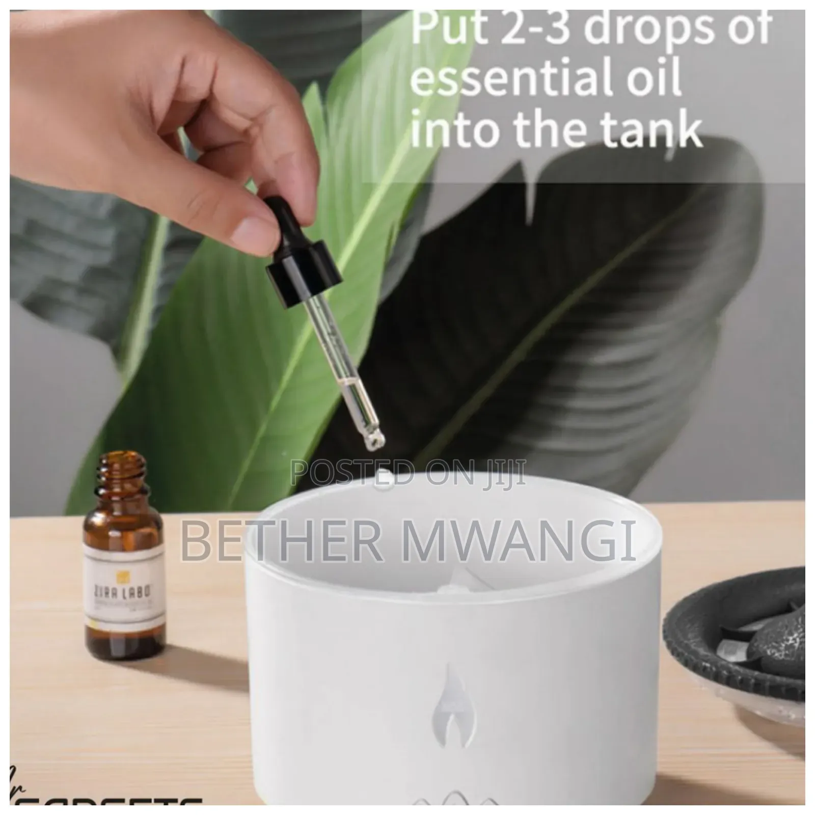 Volcano Aromatherapy Diffuser/Humidifier.
