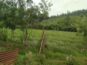 Half Acre Piece of Land in Ngong, Matasia Along Merisho Road