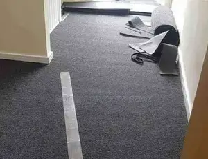 Delta Wall to Wall Grey Carpets - Cozy and Warm