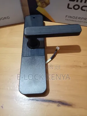 High Profile Office Biometric Door Locks