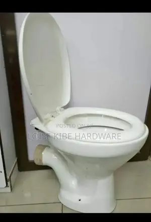 Good Quality P Trap Toilet