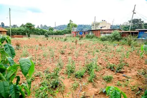 Prime Commercial Plot for Sale in Kikuyu, Lusigetti