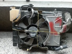 Complete Vits Jiwella Radiator