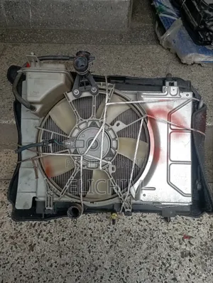 Belta/Vits Radiator
