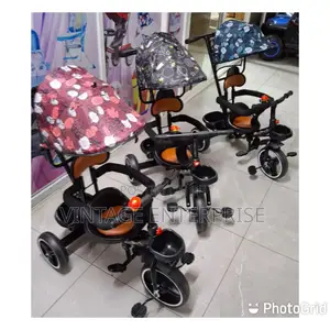 Kids Tricycle With Canopy