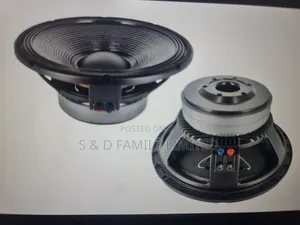 15 Inch Naked Speaker Double Magnet