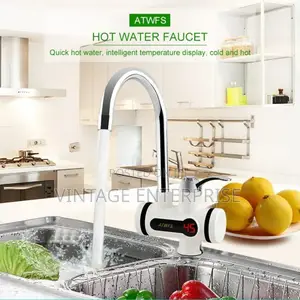 220V 3000W Kitchen Digital Tankless Instant Heater
