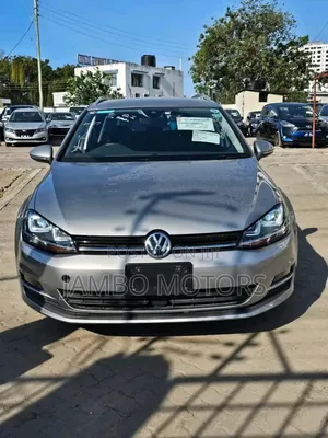 Volkswagen Golf Variant 2018 Gray