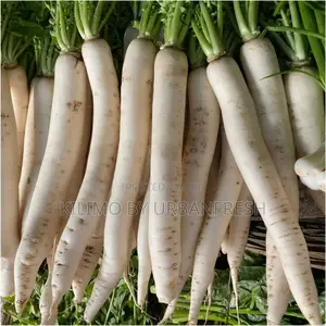 Radish Mino Early Seeds 10g
