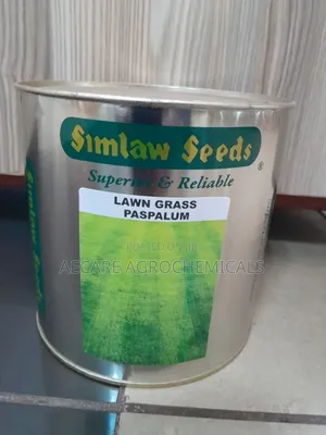 Lawn Grass Paspalum Seeds 1kg