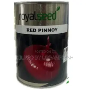 Red Pinnoy Onion Seeds 250g