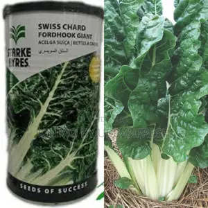 Spinach Fordhook Giant (Swiss Chard) Seeds 500g