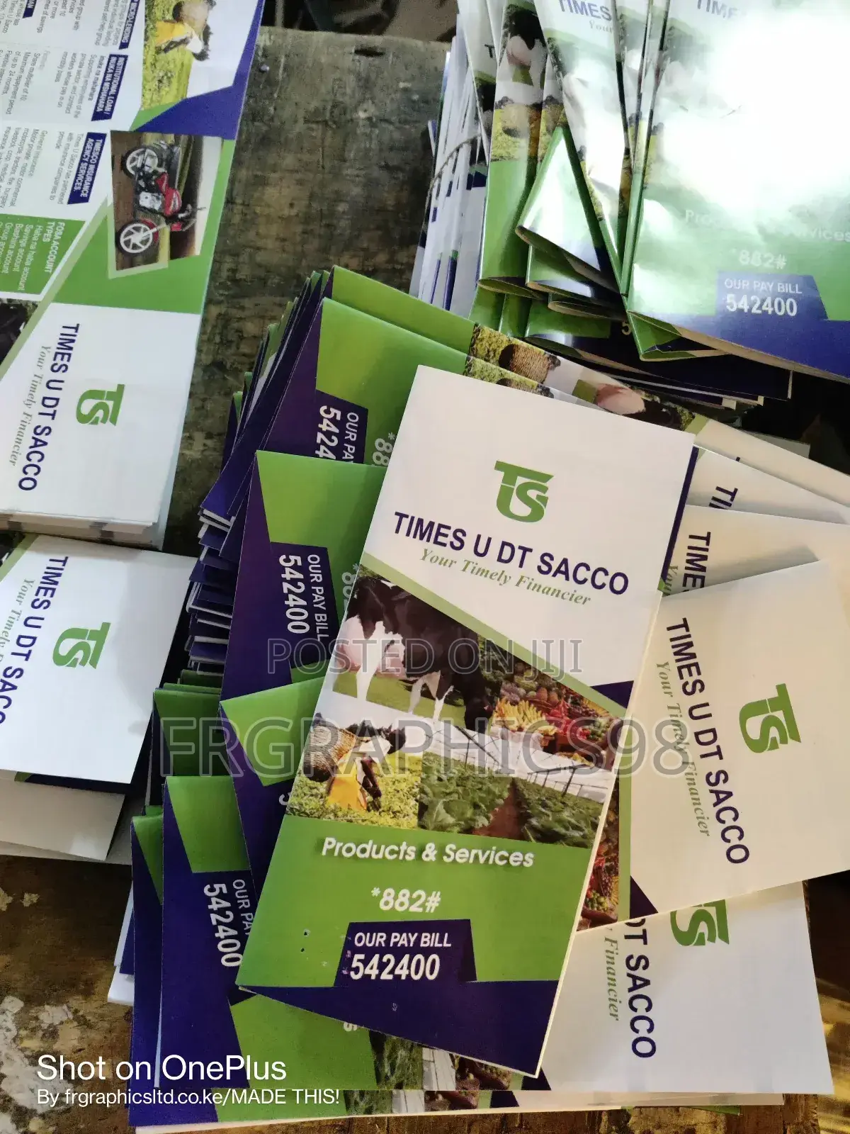 Triple Fold Brochure Printing