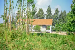 Prime 1/4-Acre Residential Plot for Sale Kikuyu, Thogoto