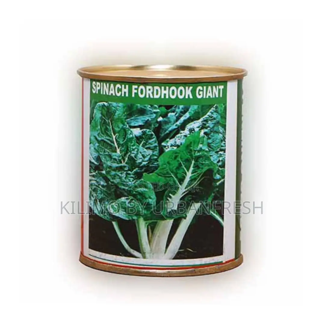 Spinach Fordhook Giant Seeds 100g